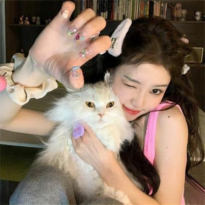 金牌贱猫:重新出击